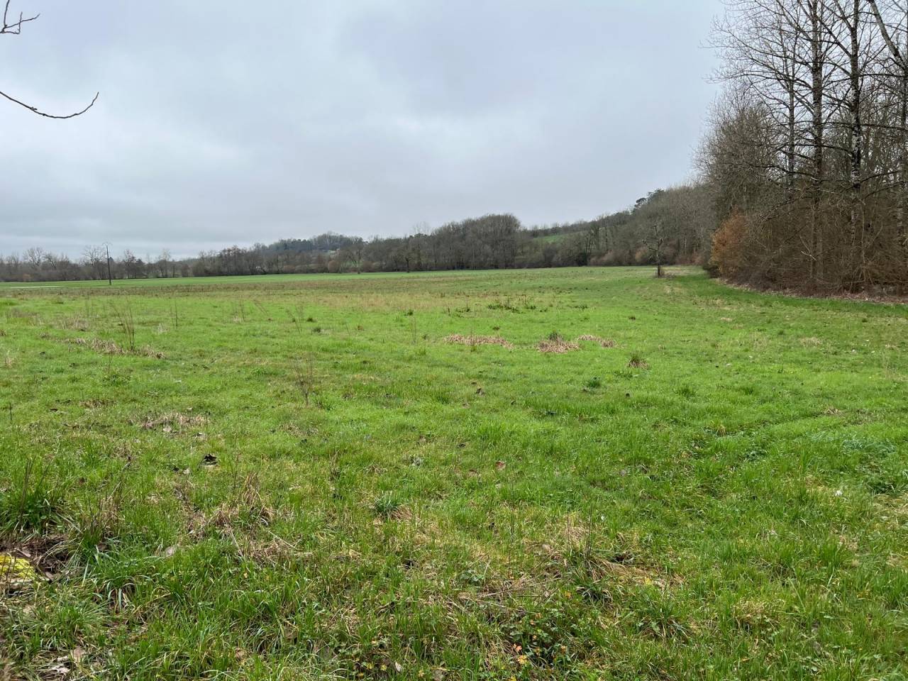 Propiedad ecuestre En venta Dordo&ntilde;a