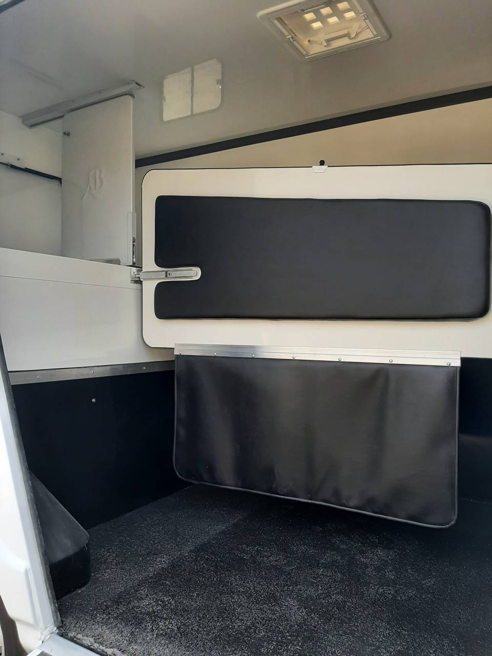 Furgoneta para caballos Renault Master 2020 De segunda mano