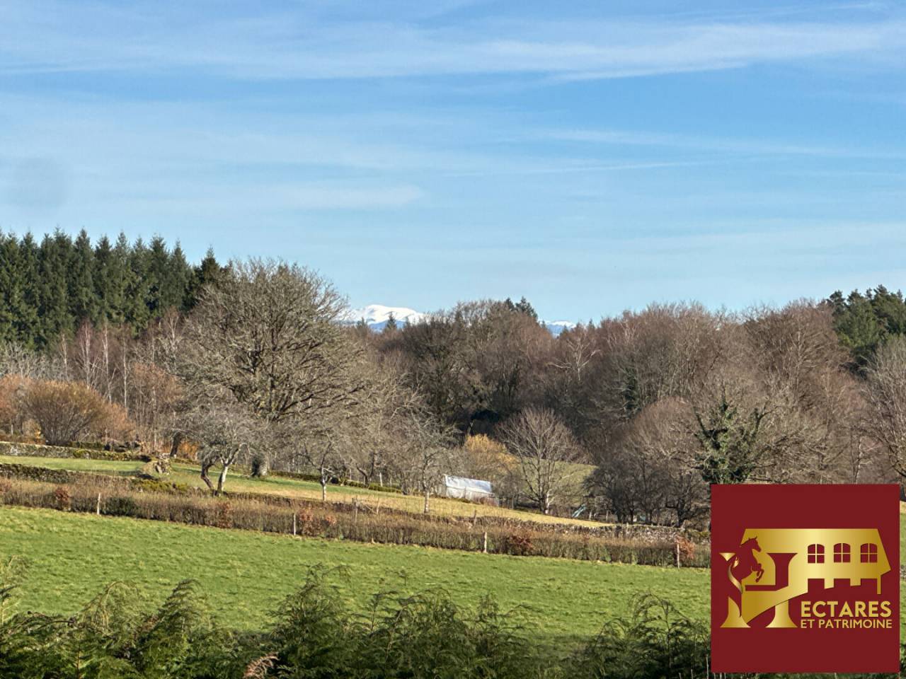 Propiedad ecuestre En venta Corr&egrave;ze