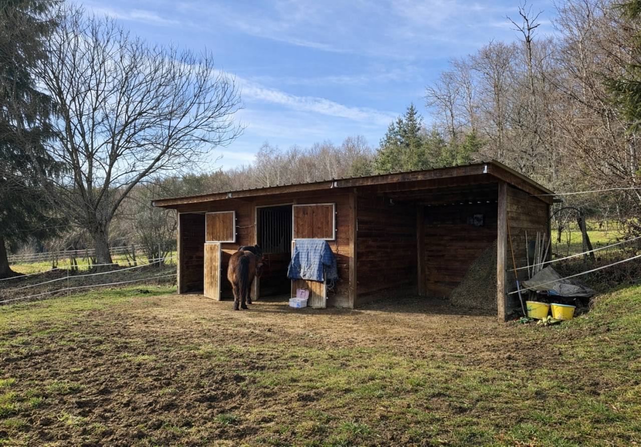 Propiedad ecuestre En venta Corr&egrave;ze