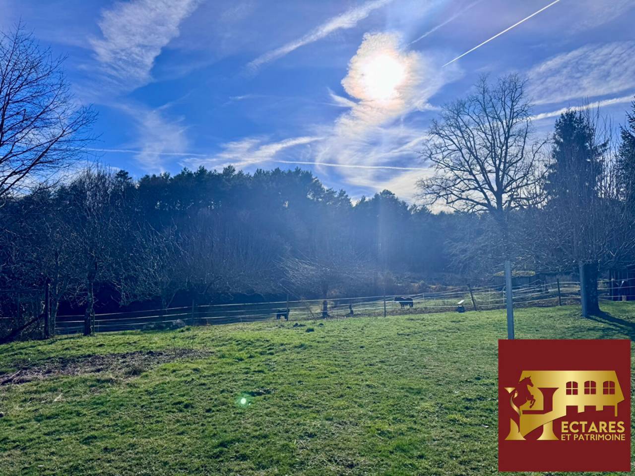 Propiedad ecuestre En venta Corr&egrave;ze