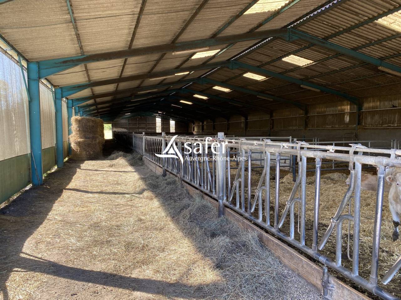 Explotaci&oacute;n av&iacute;cola En venta Allier