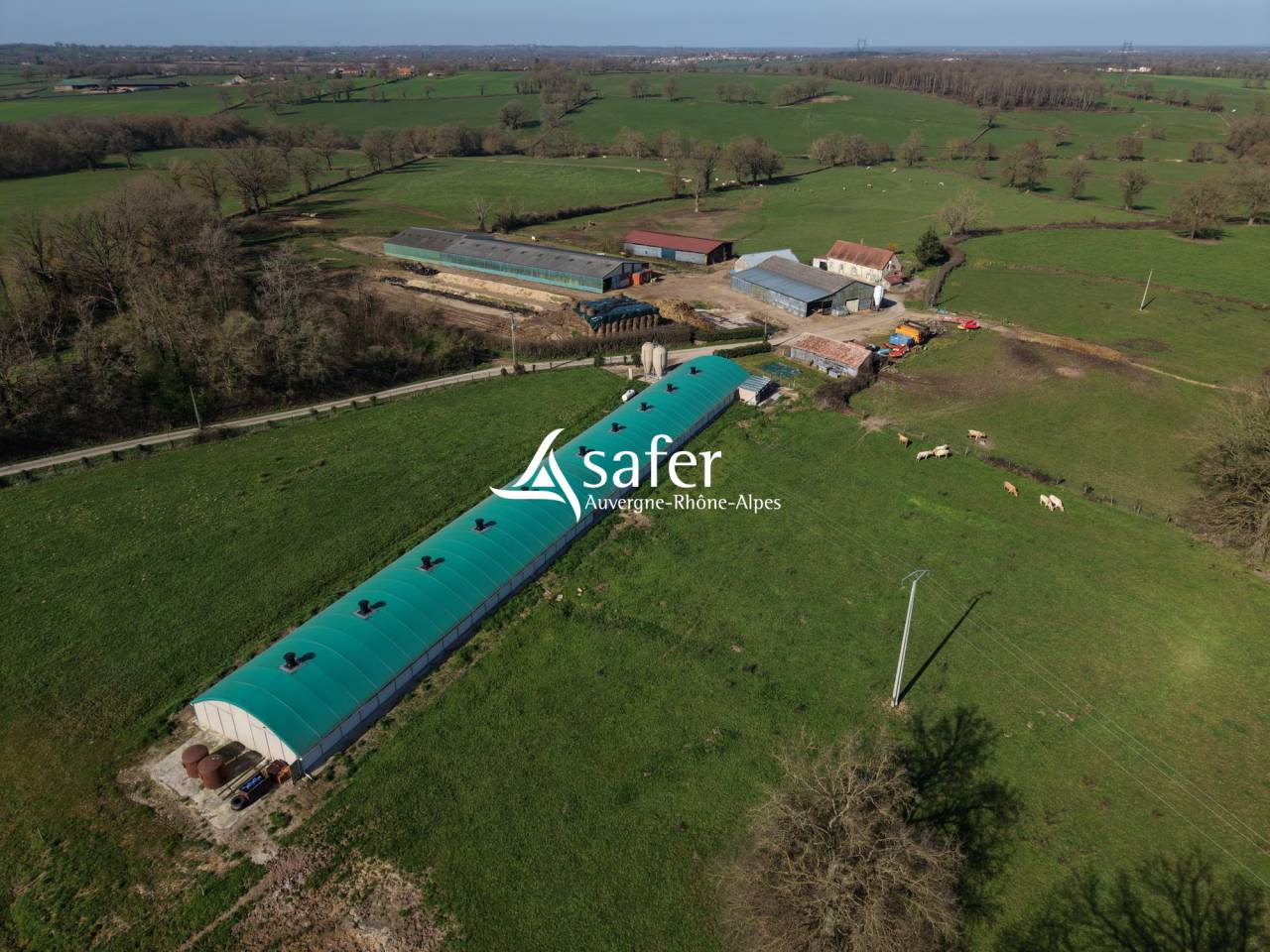 Explotaci&oacute;n av&iacute;cola En venta Allier