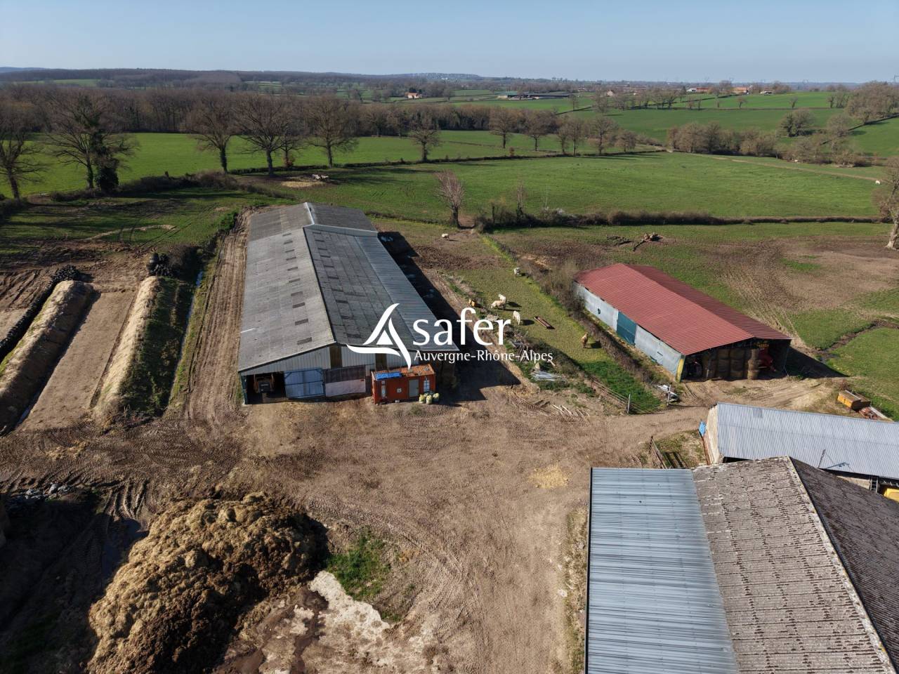 Explotaci&oacute;n av&iacute;cola En venta Allier