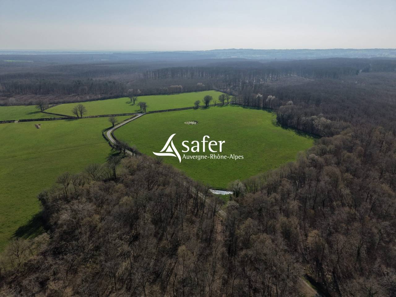 Explotaci&oacute;n av&iacute;cola En venta Allier