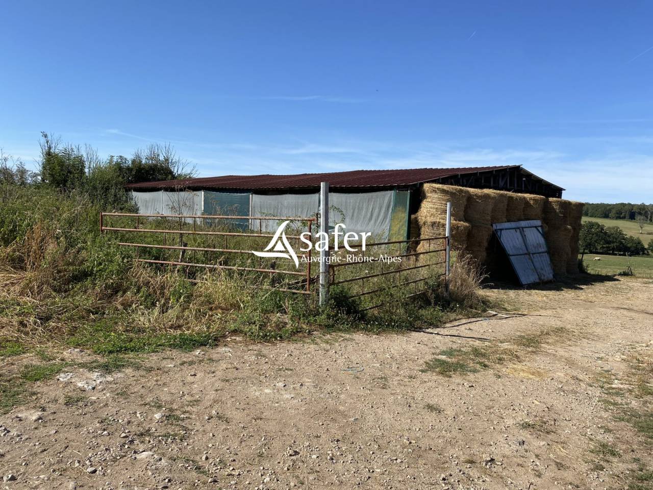 Explotaci&oacute;n av&iacute;cola En venta Allier