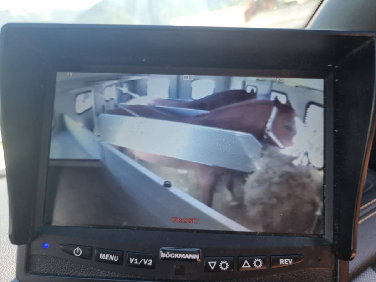 Van caballos Bockmann Traveller G3 3 Caballos 2018 De segunda mano