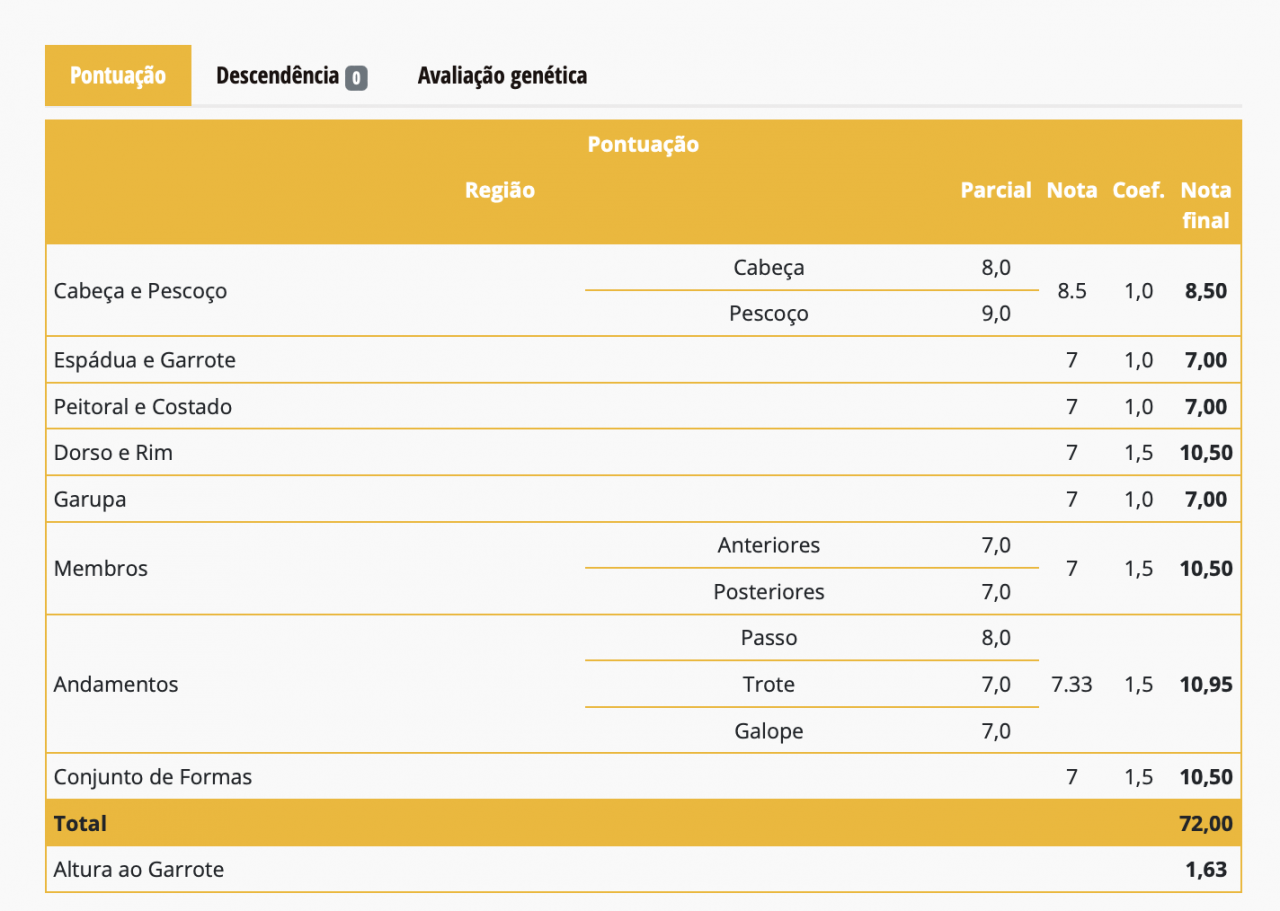 Yegua Lusitano En venta 2021 Tordo por Furacao II Sernadin