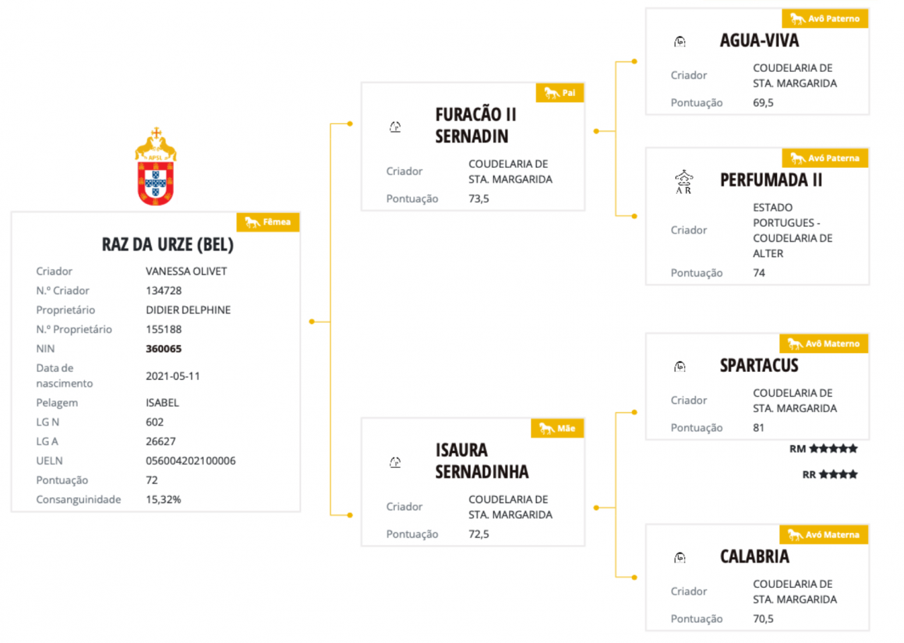 Yegua Lusitano En venta 2021 Tordo por Furacao II Sernadin