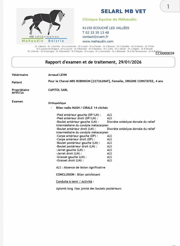 Yegua Origine Constat&eacute;e En venta 2022 Tordo por IMA BOSS