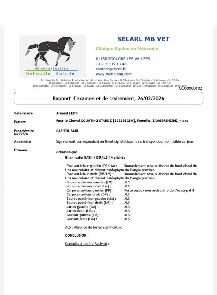 Yegua Zangersheide En venta 2022 Bayo por CANTURO