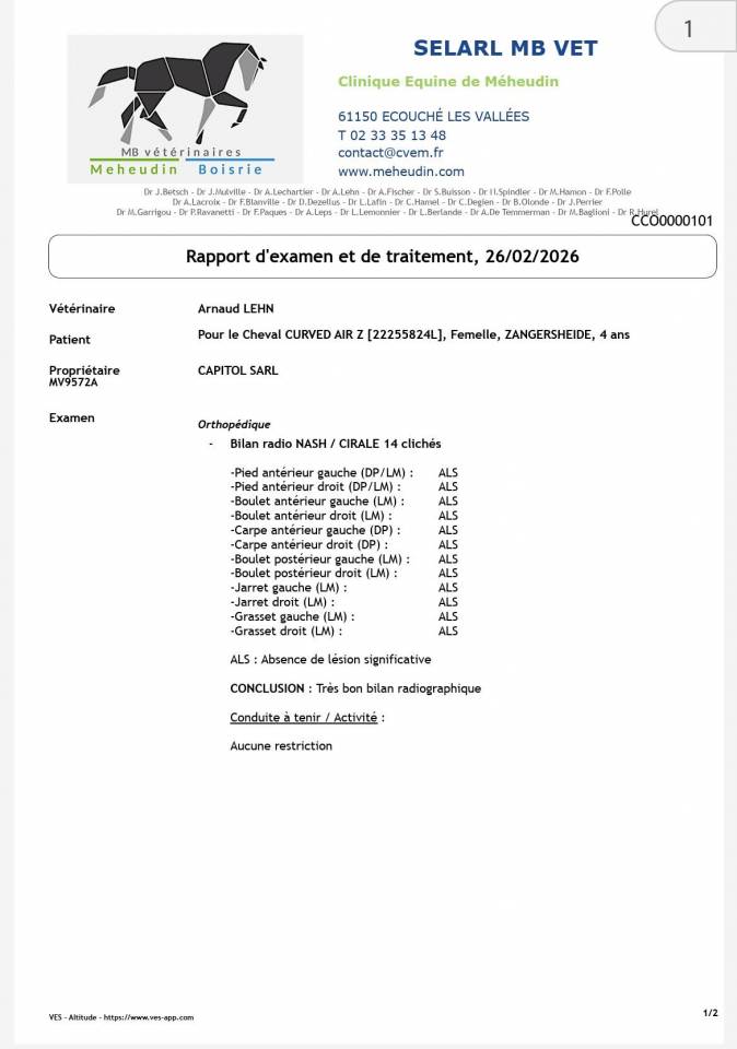 Yegua Zangersheide En venta 2022 Bayo por CANTURO