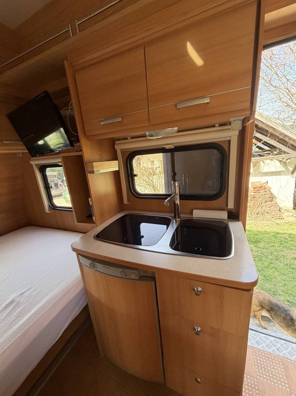 Cami&oacute;n para caballos Renault  2001 De segunda mano