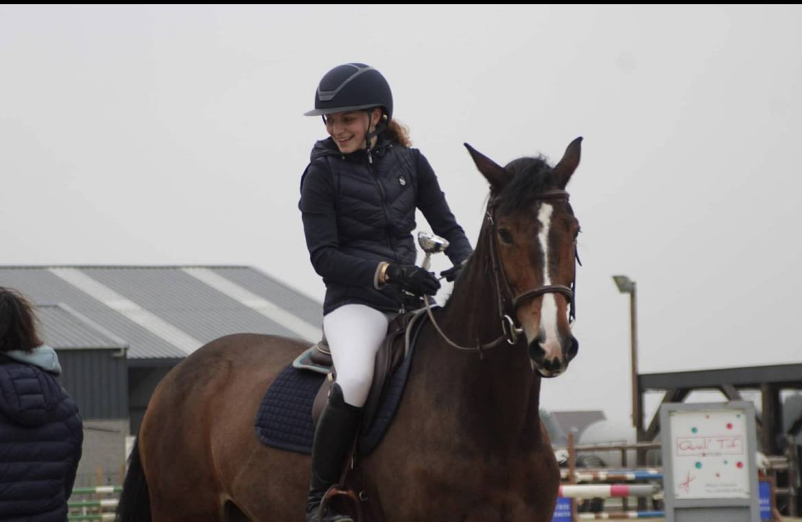 Yegua KWPN Caballo de Deporte Neerland&eacute;s En venta 2010 Bayo