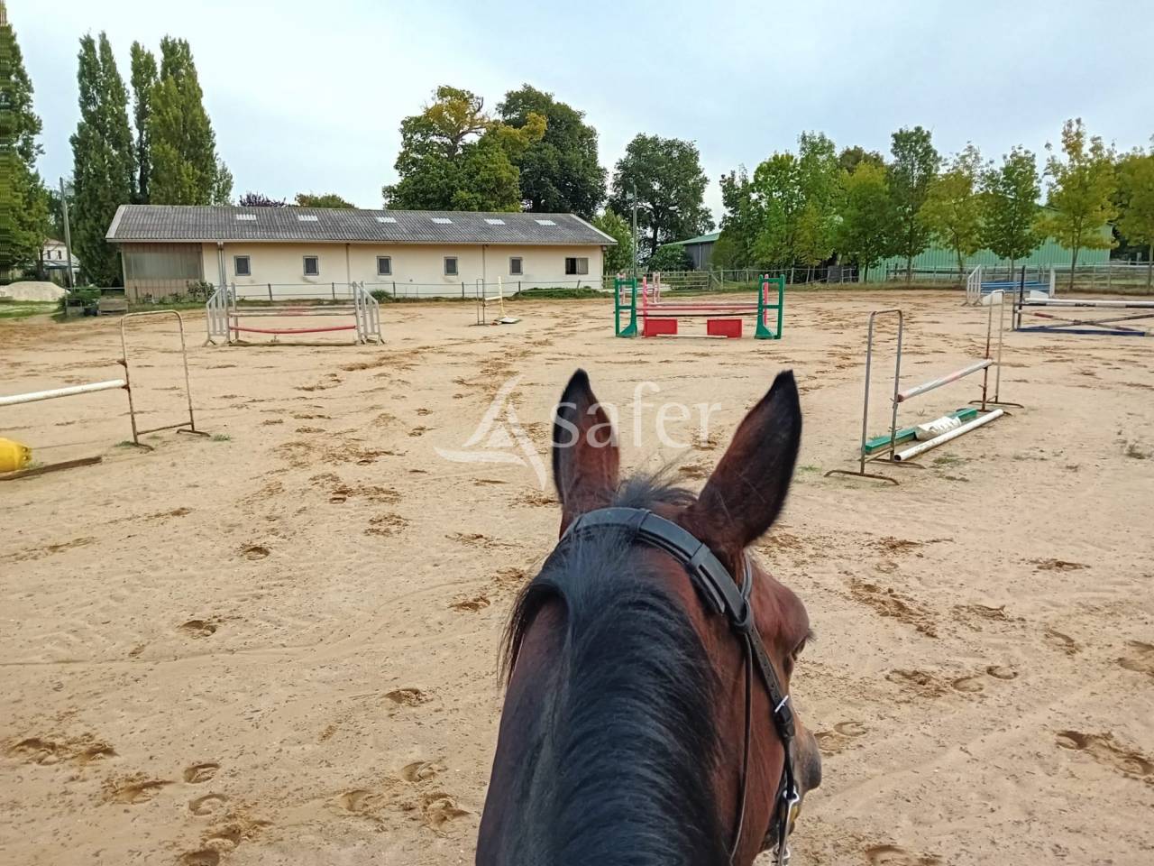 Propiedad ecuestre En venta Charente Mar&iacute;timo