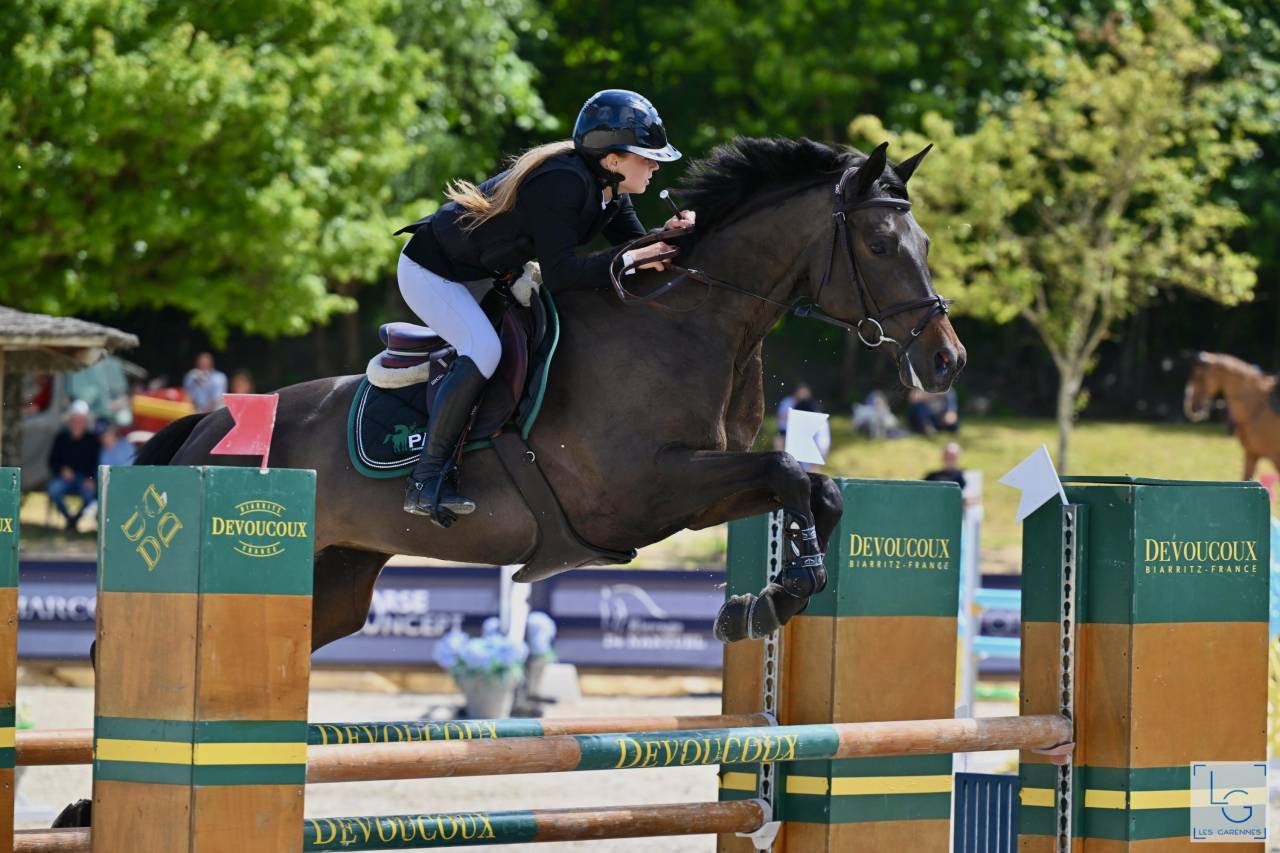 Yegua Trakehner En venta 2016 Negro por SIR SANSIBAR
