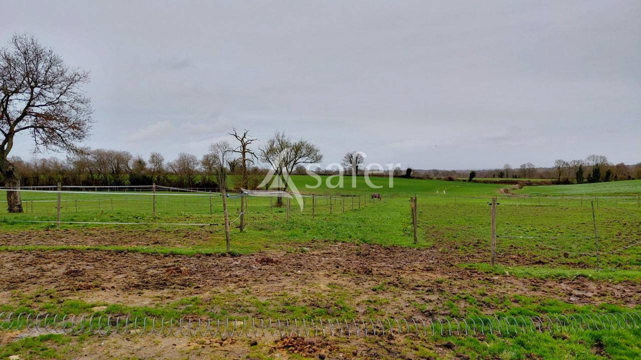 Propiedad ecuestre En venta Deux-S&egrave;vres