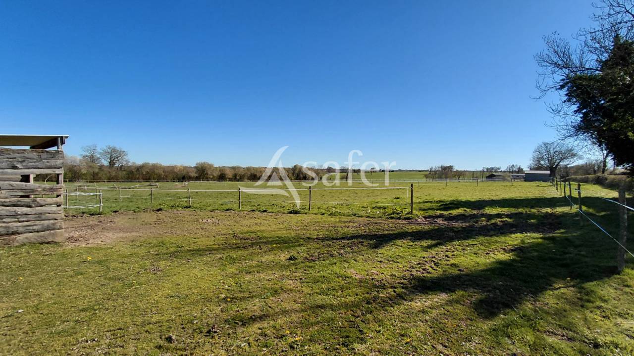 Propiedad ecuestre En venta Deux-S&egrave;vres