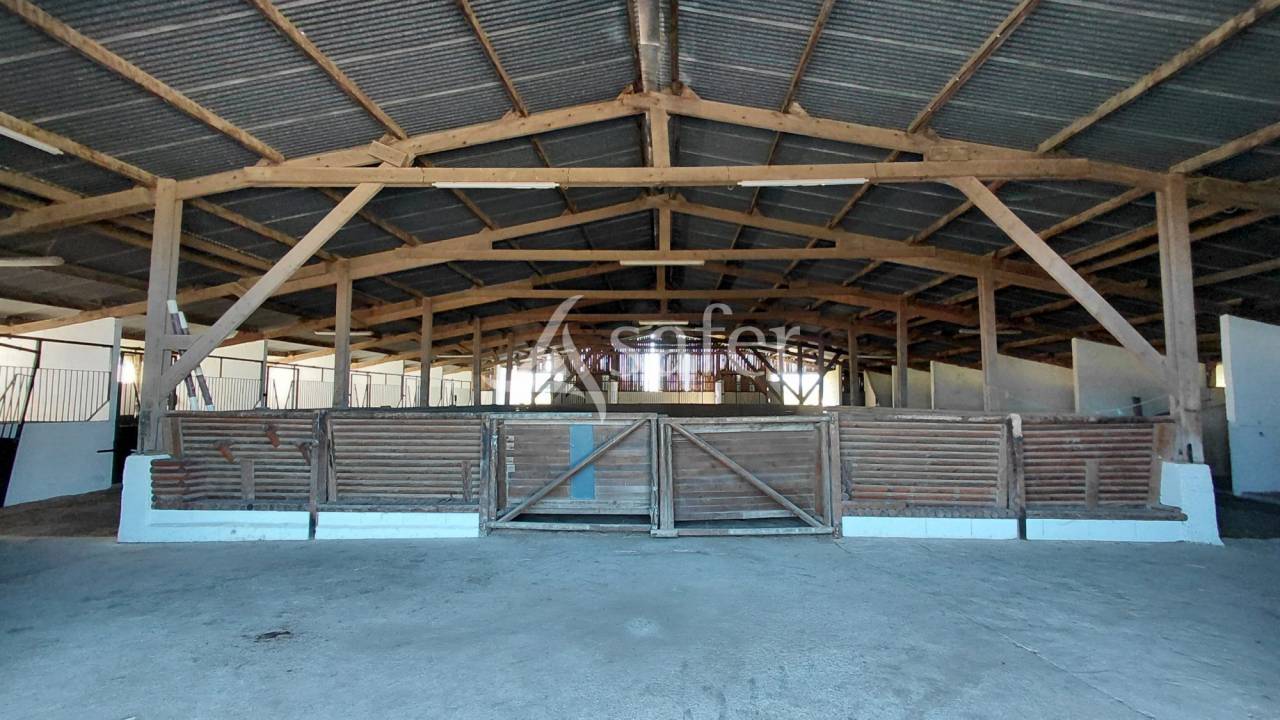 Propiedad ecuestre En venta Deux-S&egrave;vres