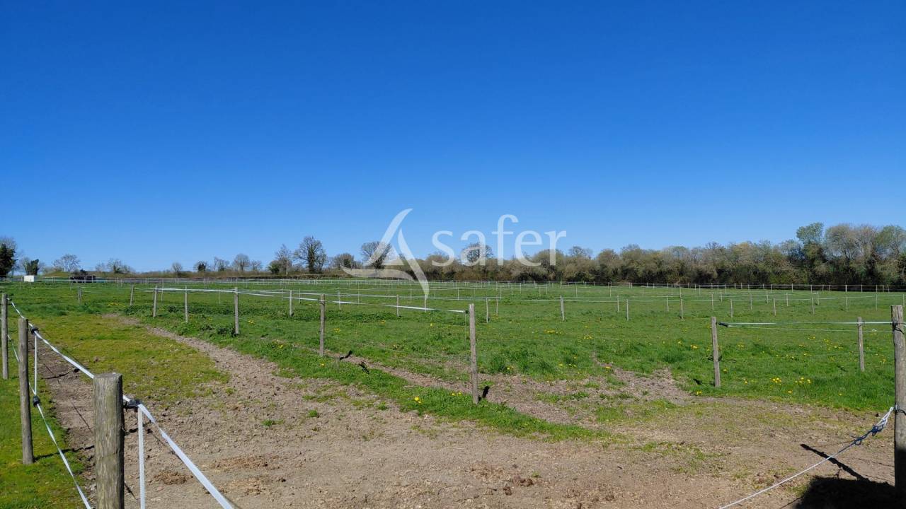 Propiedad ecuestre En venta Deux-S&egrave;vres