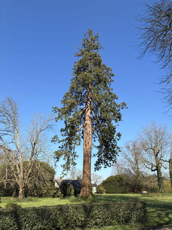 Bonita residencia ecuestre En venta Vend&eacute;e