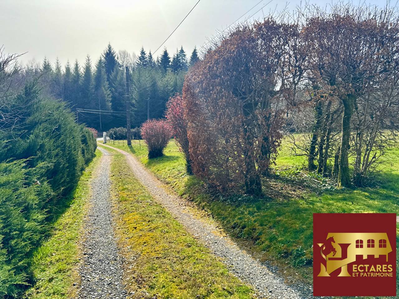 Propiedad ecuestre En venta Corr&egrave;ze