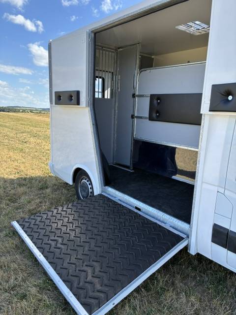 Furgoneta para caballos Renault MASTER 2021 Nuevo