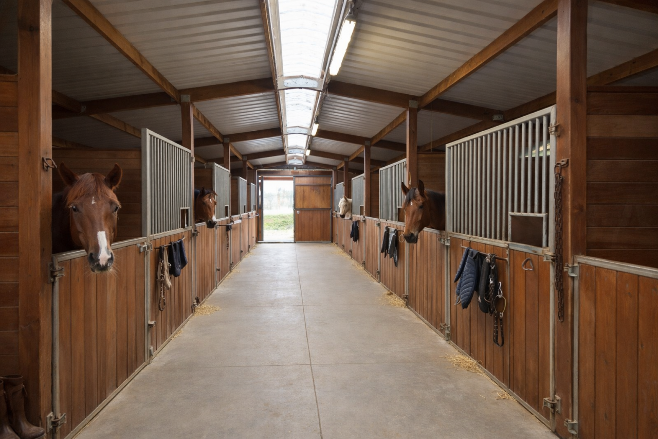 Cuadra de propietarios En venta Ile y Vilaine