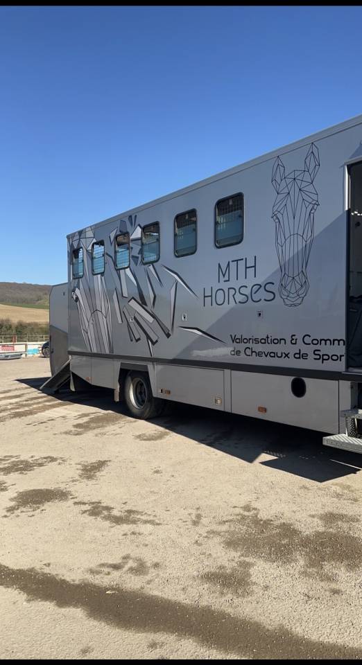 Cami&oacute;n para caballos Theault  2009 De segunda mano
