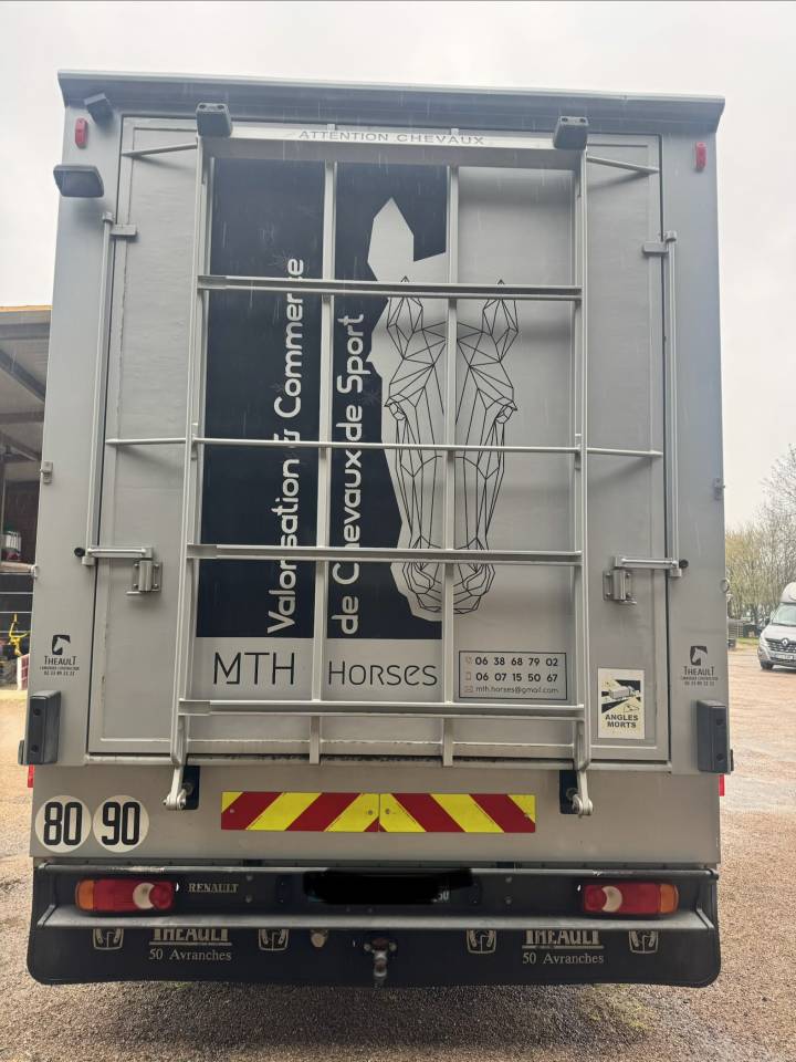 Cami&oacute;n para caballos Theault  2009 De segunda mano