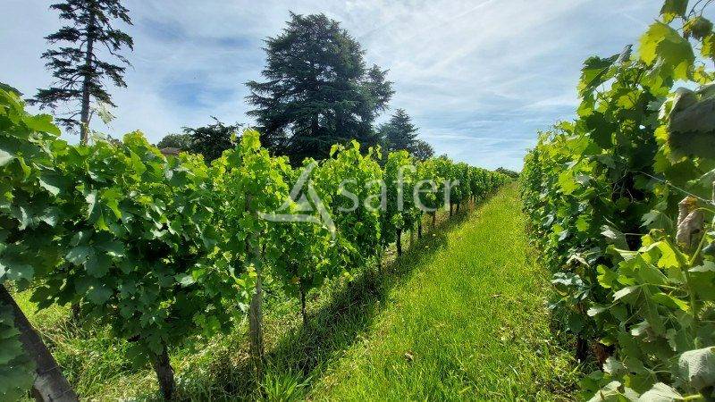 Propiedad rural En venta Gironda