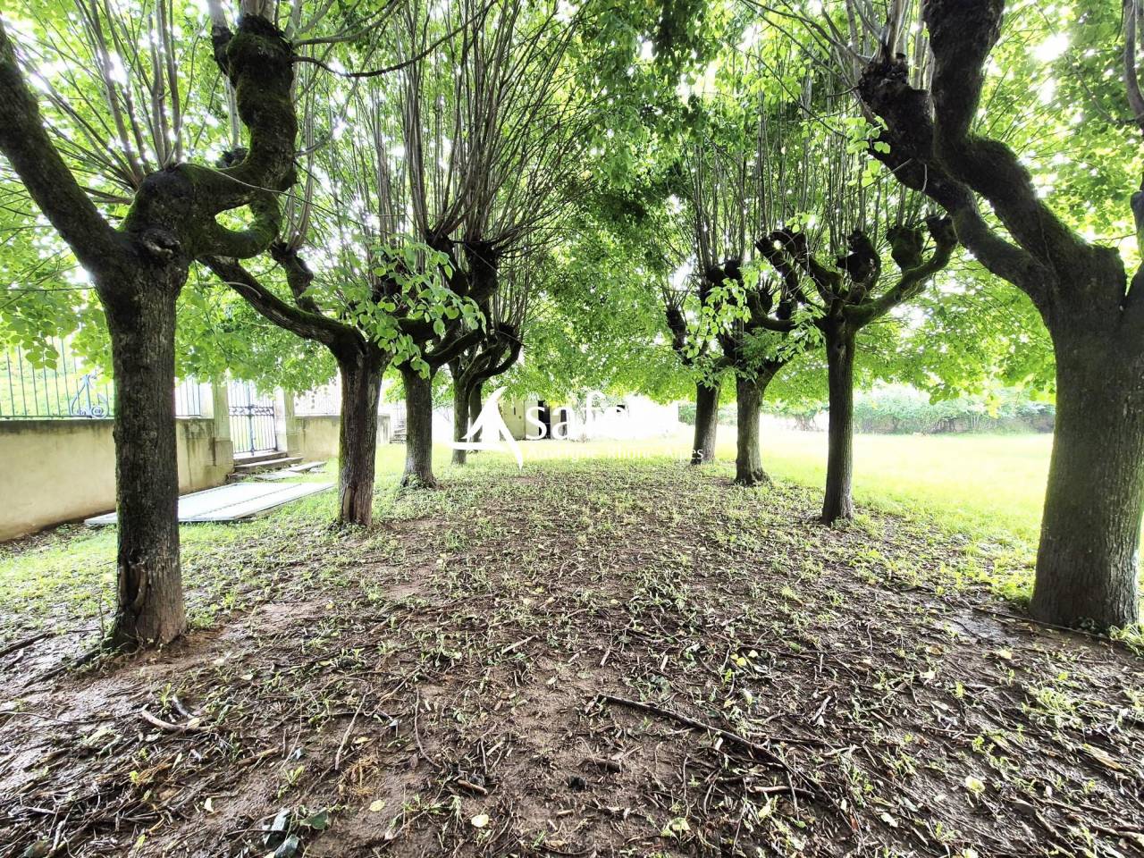 Propiedad rural En venta R&oacute;dano