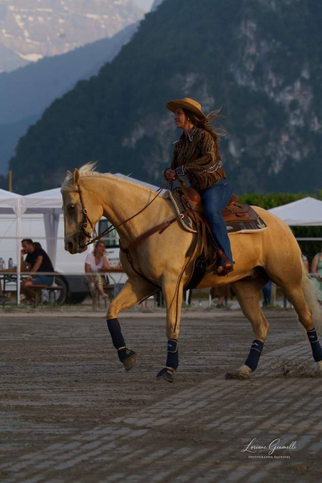 Caballo castrado Quarter Horse En venta 2020 Palomino