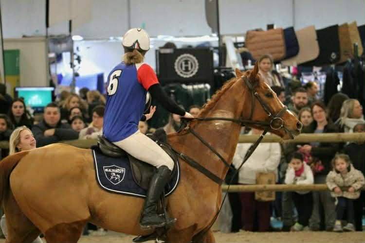 Caballo castrado Pura Sangre En venta 2019 Alaz&aacute;n