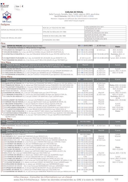 Yegua Silla Franc&eacute;s En venta 2012 Negro por ESPOIR DU PRIEURE
