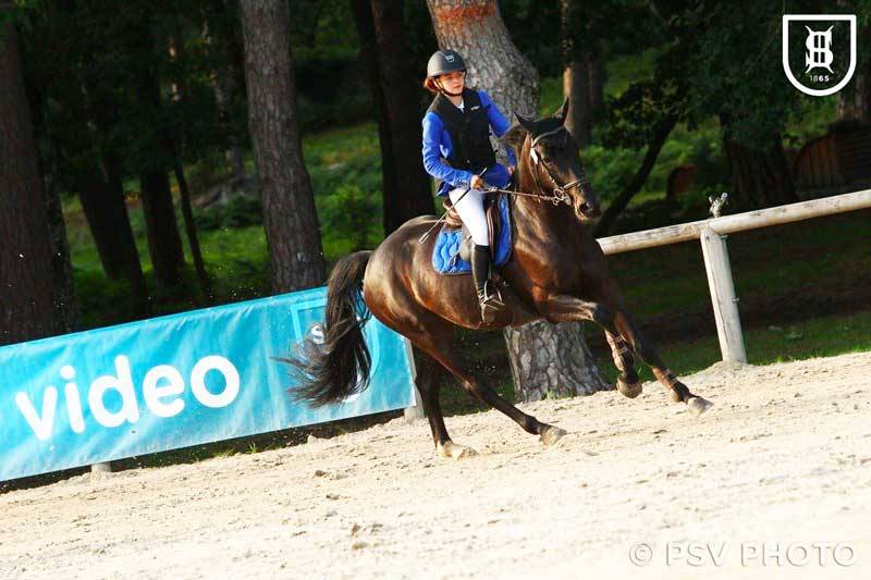 Yegua Silla Franc&eacute;s En venta 2012 Negro por ESPOIR DU PRIEURE