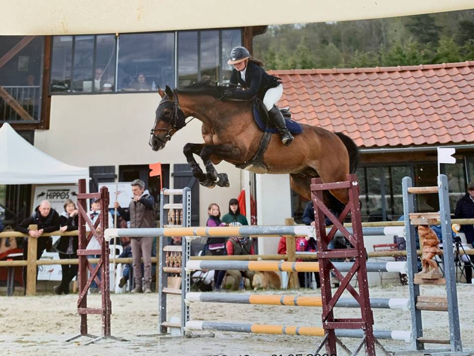 TEAM DU TEMPLE - Silla Franc&eacute;s 2007 por FOR PLEASURE