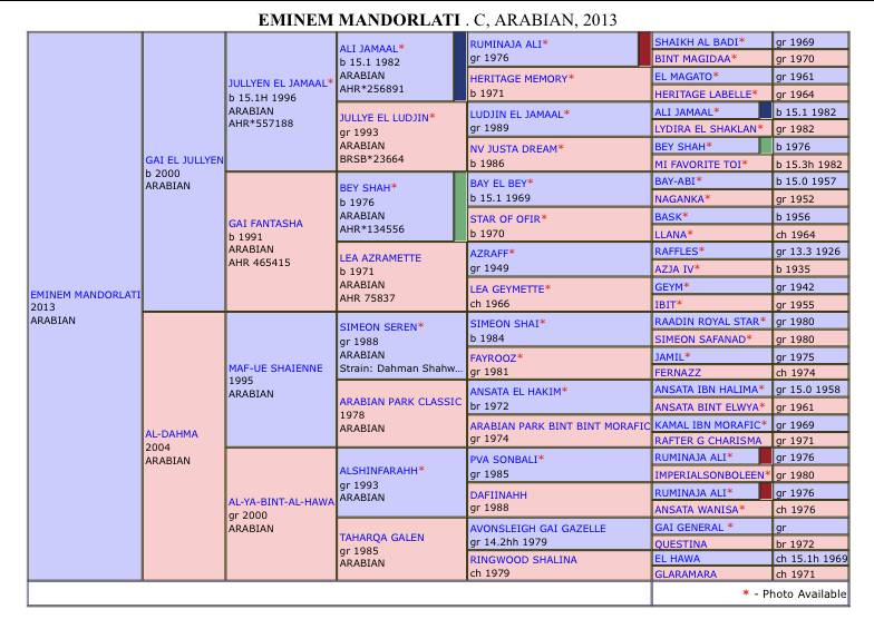Eminem Mandorlati  - Arabe 2013 por Gai El Jullyen