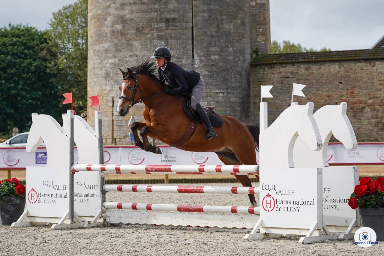 Caballo castrado PFS Poni Fran&ccedil;&eacute;s de Silla En venta 2021 Bayo por Eye Catcher de Lourcq