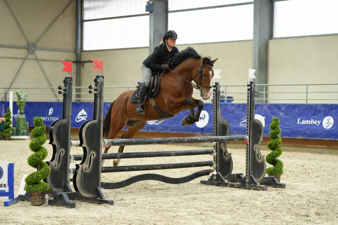 Caballo castrado PFS Poni Fran&ccedil;&eacute;s de Silla En venta 2021 Bayo por Eye Catcher de Lourcq