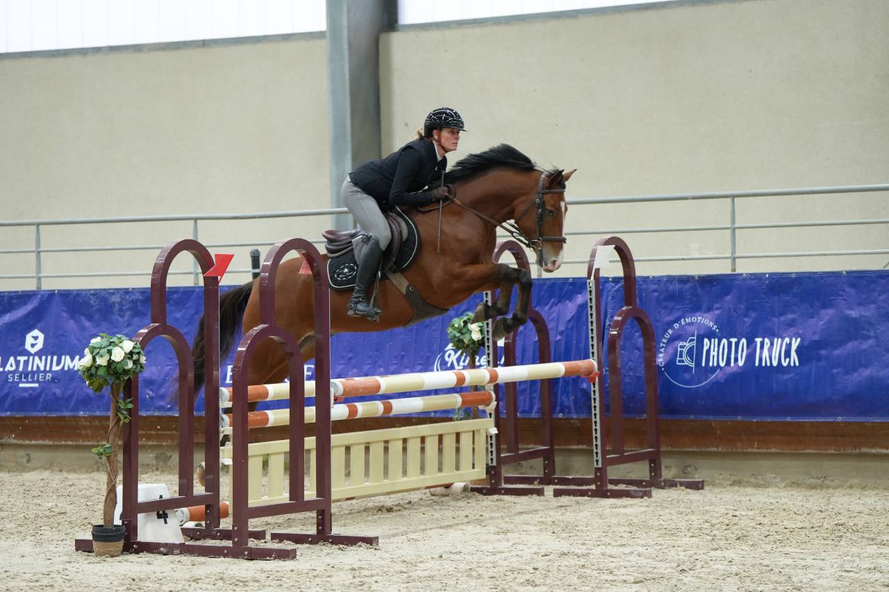 Caballo castrado PFS Poni Fran&ccedil;&eacute;s de Silla En venta 2021 Bayo por Eye Catcher de Lourcq