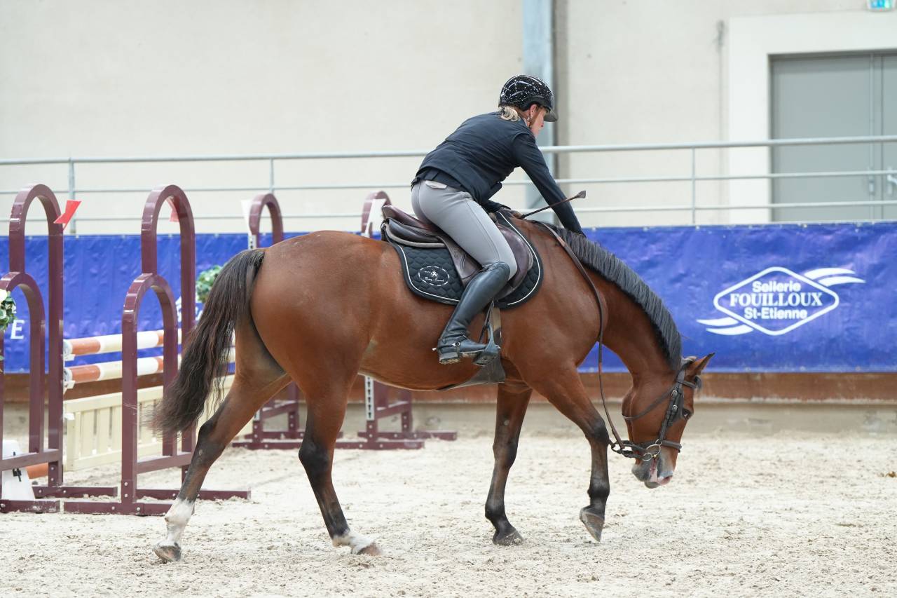 Caballo castrado PFS Poni Fran&ccedil;&eacute;s de Silla En venta 2021 Bayo por Eye Catcher de Lourcq