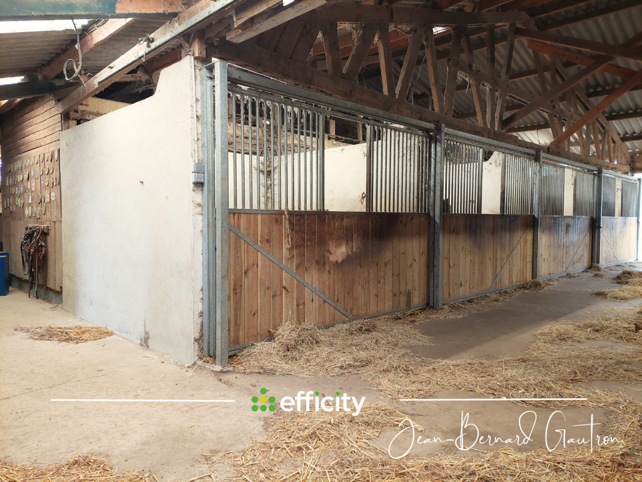 Centro ecuestre En venta C&ocirc;te d'Armor