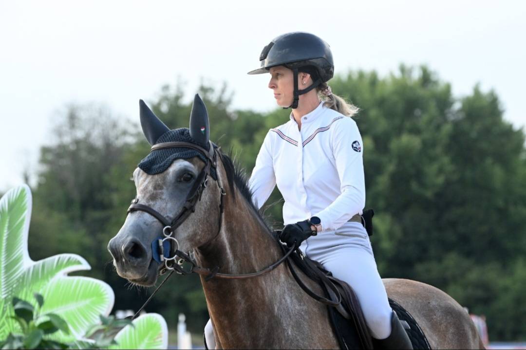 Yegua Silla Franc&eacute;s En venta 2022 Tordo por Cooper VD Heffnick 