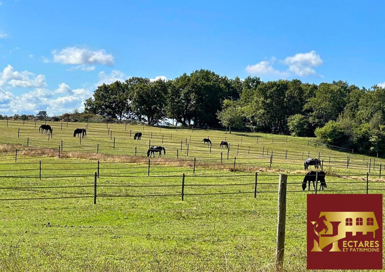 Propiedad ecuestre En venta Dordo&ntilde;a