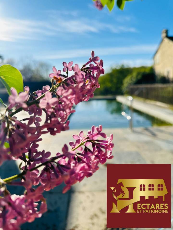 Propiedad ecuestre En venta Dordo&ntilde;a