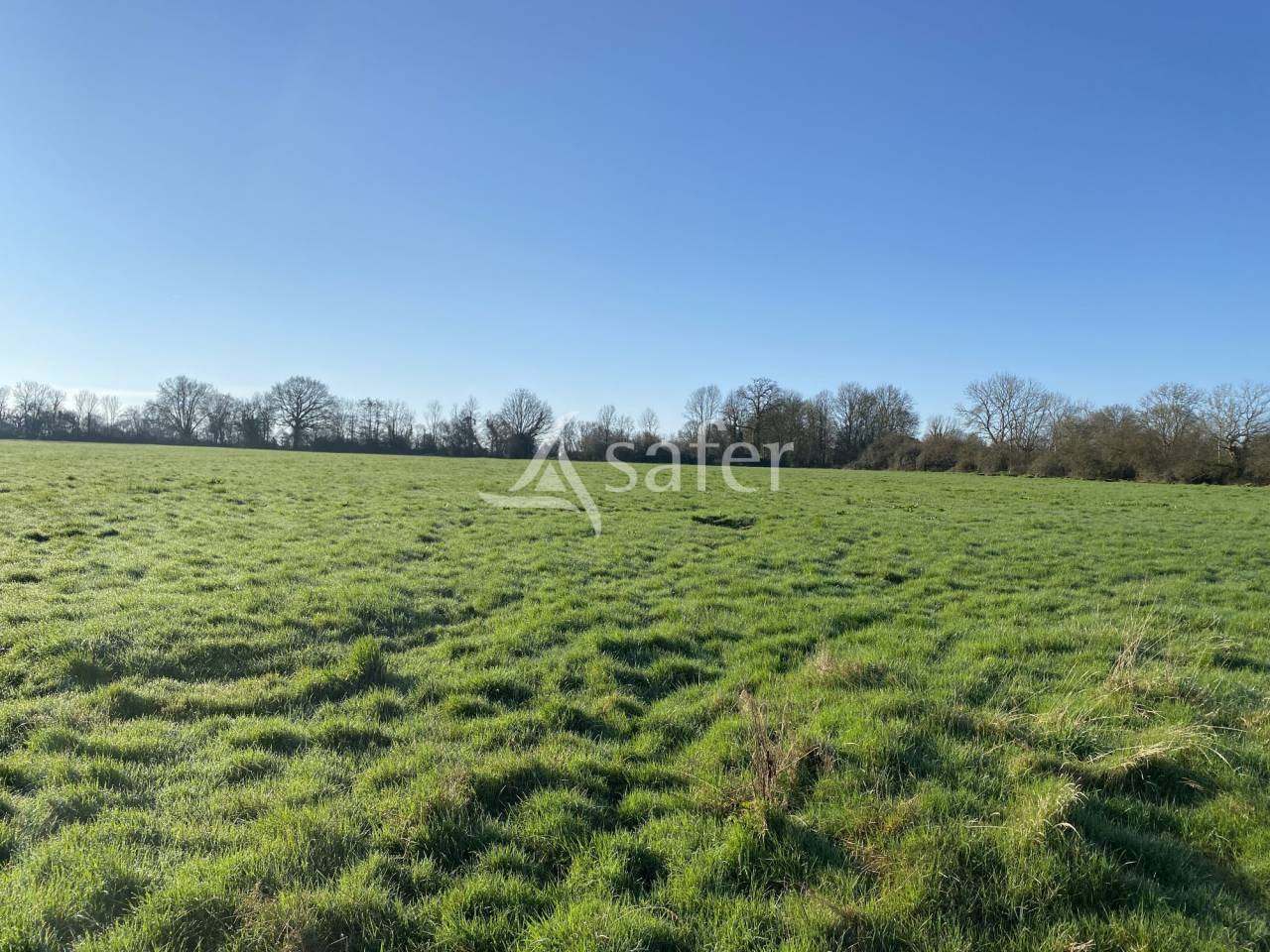 Explotaci&oacute;n agr&iacute;cola En venta Calvados