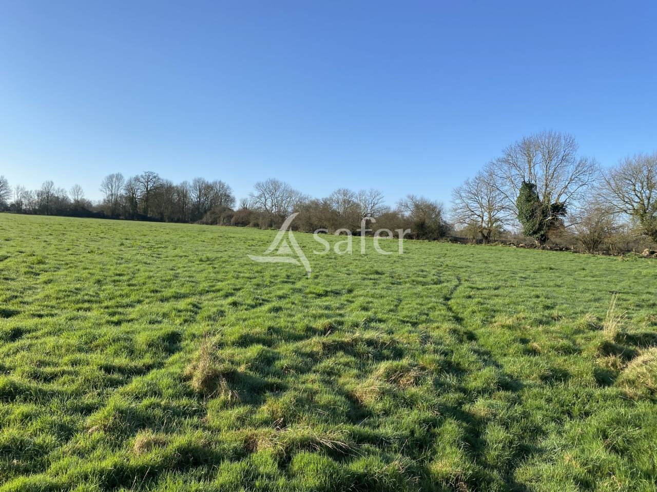 Explotaci&oacute;n agr&iacute;cola En venta Calvados