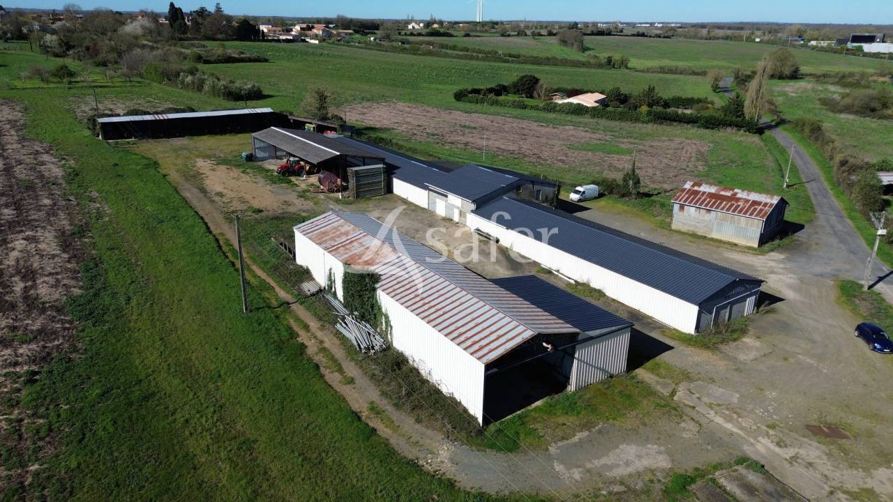 Explotaci&oacute;n ovina En venta Deux-S&egrave;vres