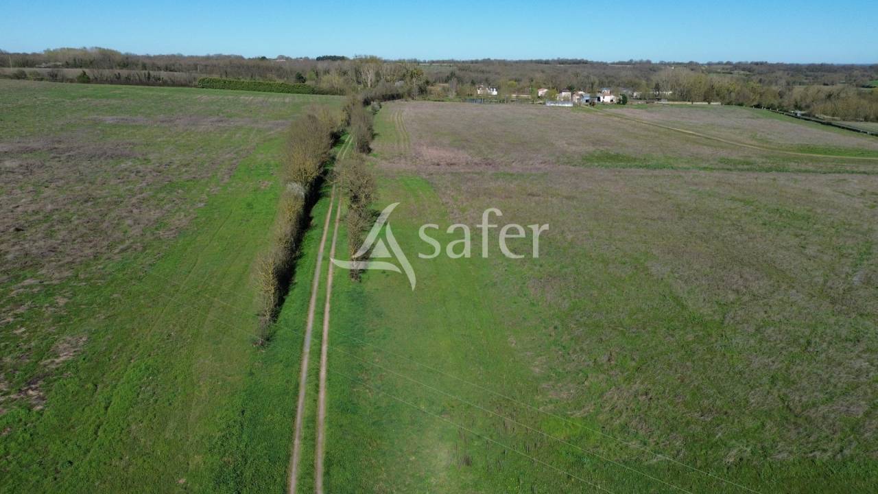 Explotaci&oacute;n ovina En venta Deux-S&egrave;vres